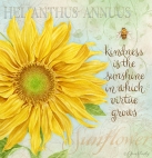 js-d225-botanicalsunflower