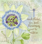 js-d227-botanicalpassiflora