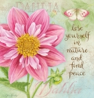 js-d232-botanicaldahlia