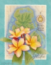 js-m01-huahine
