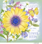 JS-BT226b-daisy-bouquet