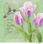 JS-BT324b botanical tulips
