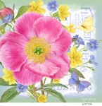 JS-BT325b-peony-bouquet