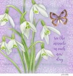 JS-BT385b-botanical-snowdrops