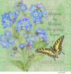 JS-BT387b-forget-me-nots