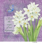JS-BT406b-botanical-narcissus