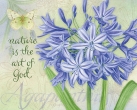 JS-BT425 bot agapanthus