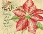 JS-BT427 bot poinsettia