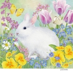 JS-BT459b-botanical-bunny