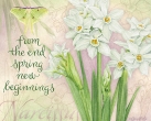JS-BT460 bot narcissus