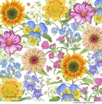 JS-BT500-mixed-botanical