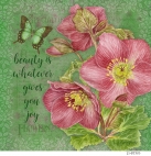 JS-BT503 botanical hellebore