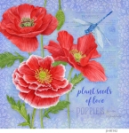 JS-BT552-botanical-poppies