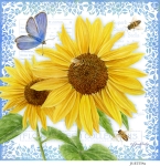 JS-BT554a-bot-sunflowers