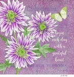 JS-BT556-botanical-chrysanthemums