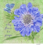 JS-BT595-botanical-scabiosa