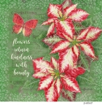 JS-BT637-botanical-poinsettia