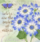 JS-D323 botanical cineraria