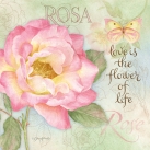 JS-D386 botanical rose