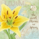 JS-D388 botanical yellow lily
