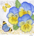 JS-FB462b-BY-pansies