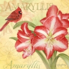 js-d237-botanical-amaryllis
