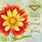 js-d327-botanical-red-dahlia