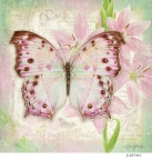 JS-BF341b mother of pearl