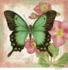 JS-BF351b sea green swallowtail