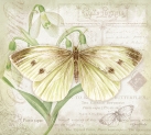 JS-BF430 cabbage white