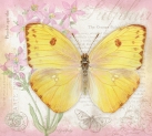 JS-BF473 orange sulphur