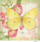 JS-BF521 pink edge sulphur
