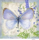 JS-BF522 mexican azure