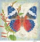 JS-BF525 red cracker