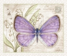 JS-D344 lavender
