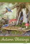 JS-BG491b fairy garden