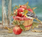js-d174-apples-tanager