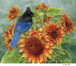 JS-BG200b-sunflowers-and-jay
