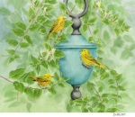 JS-BG307-honeysucklewarblers