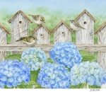 JS-BG308-hydrangea-fence
