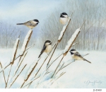 JS-BG400-cattail-chickadees