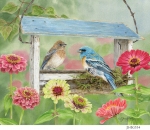 JS-BG534-zinnia-feeder