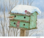 JS-BG570b-winter-birds