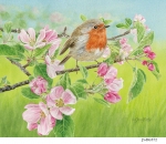 JS-BG572-robin-apple-blossom