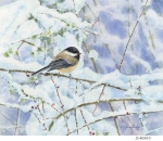 JS-BG610-chickadee-in-snow