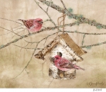 JS-D167-purple-finches