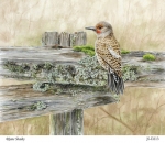 JS-D213-flicker-on-fence