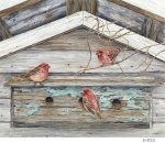 JS-D221-birdhouse-shed