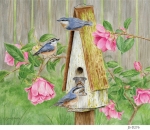 JS-D276-camellia-birdhouse