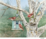 JS-D303-birch-finches